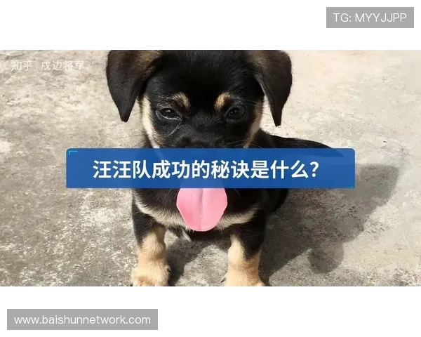 深圳篮球队心理素质排名第一揭示球队成功背后的秘密与挑战 深圳篮球队心理素质排名第一揭示球队成功背后的秘密与挑战
