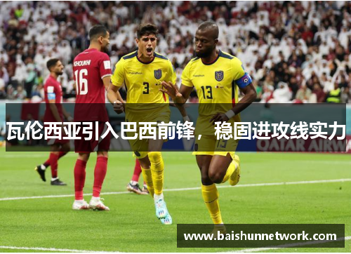 瓦伦西亚引入巴西前锋，稳固进攻线实力